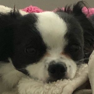 Meet your Posher, Toni